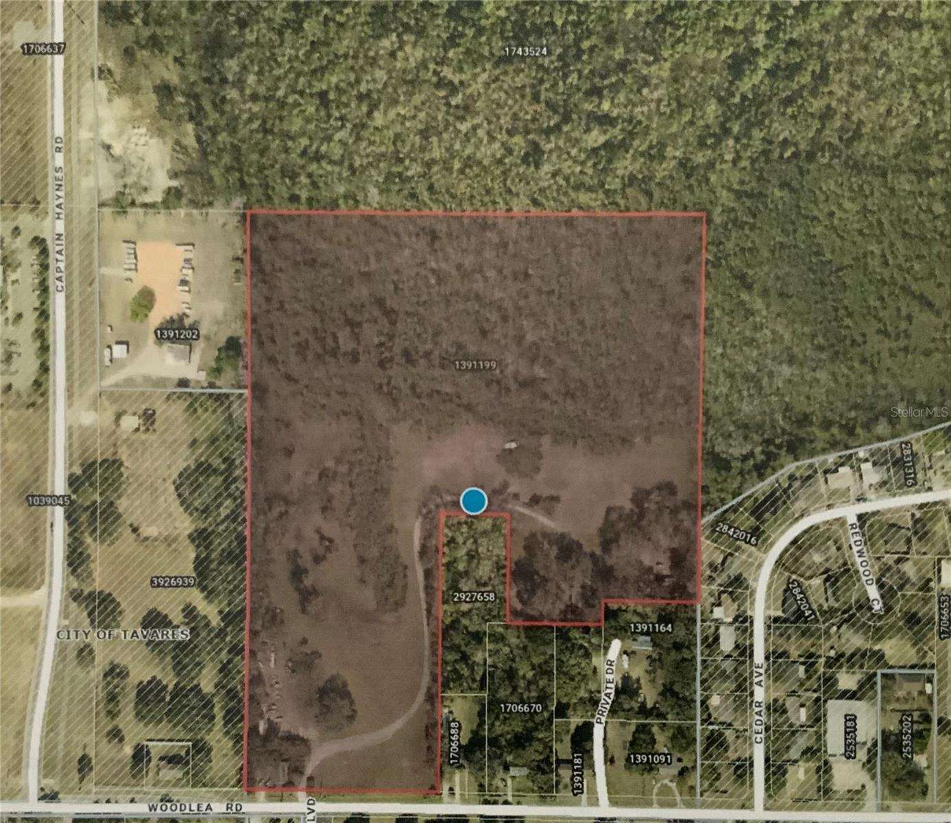 12301 Woodlea Road, FL