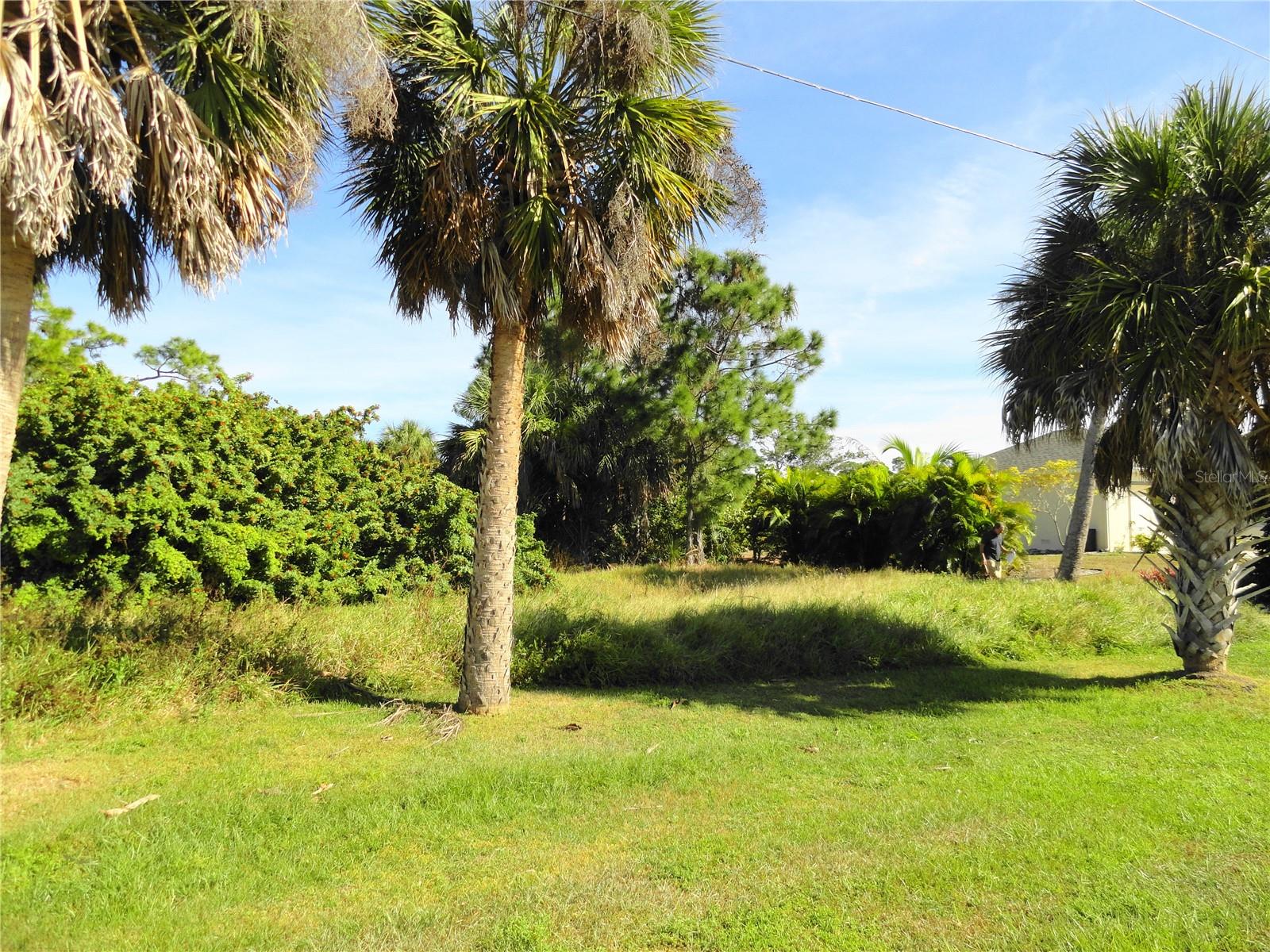 2146 Mccleod Street, FL