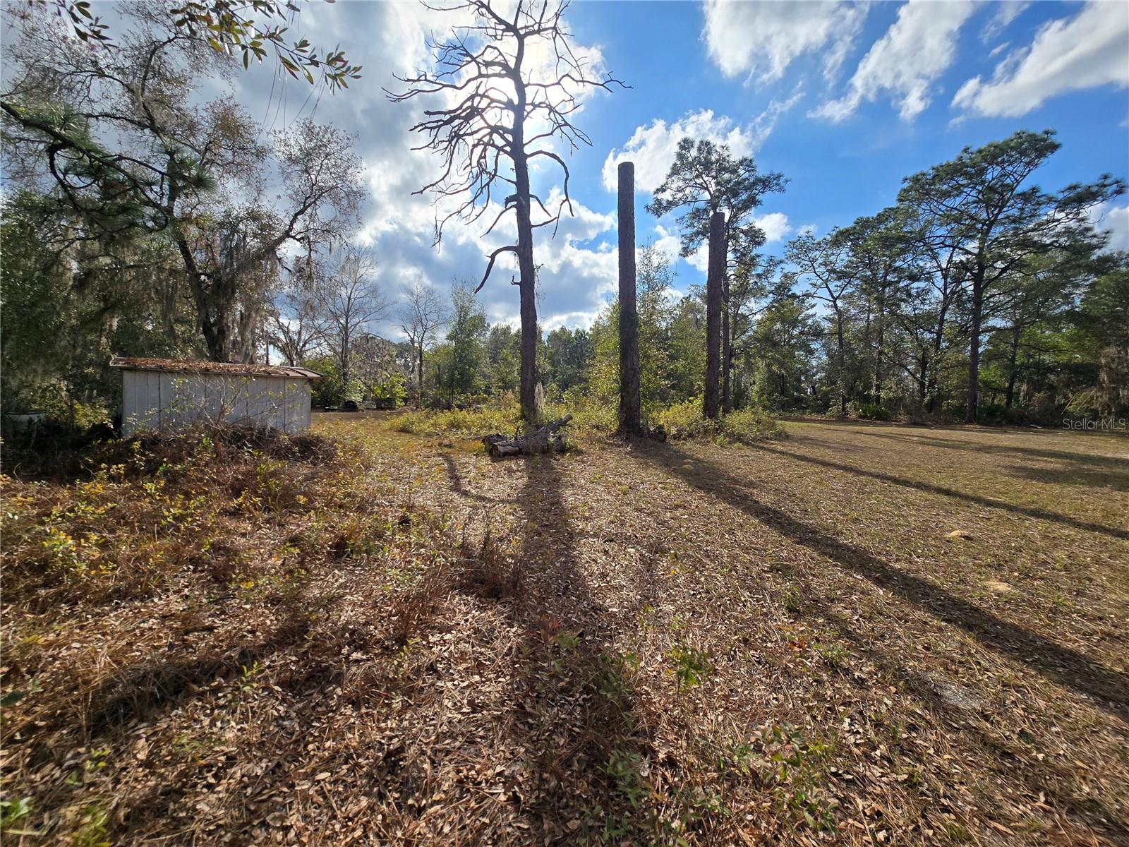 4610 Ellen Point, FL