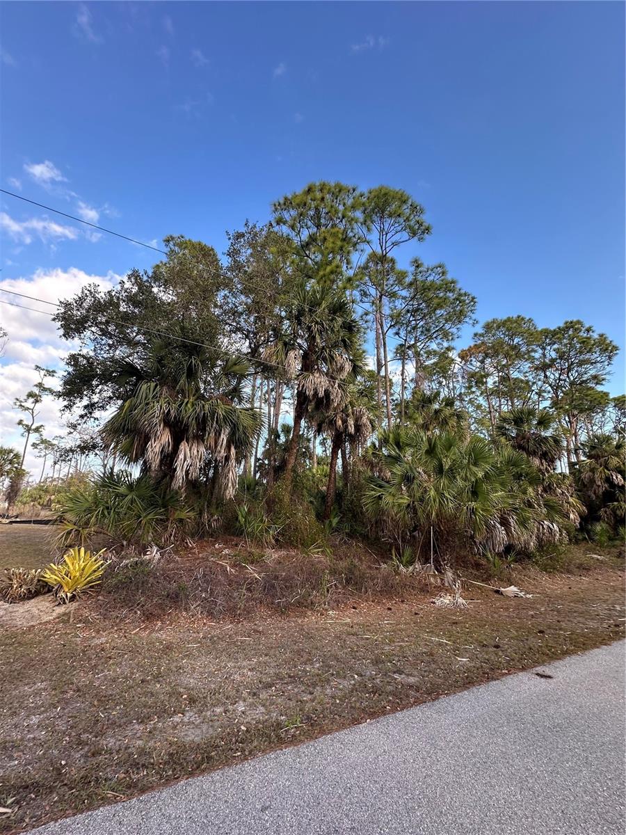 Joann Ter, FL