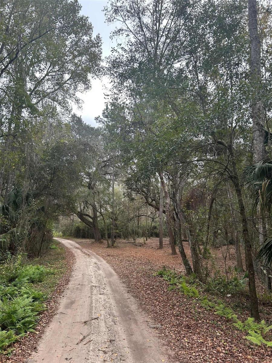 173 She She Road, FL