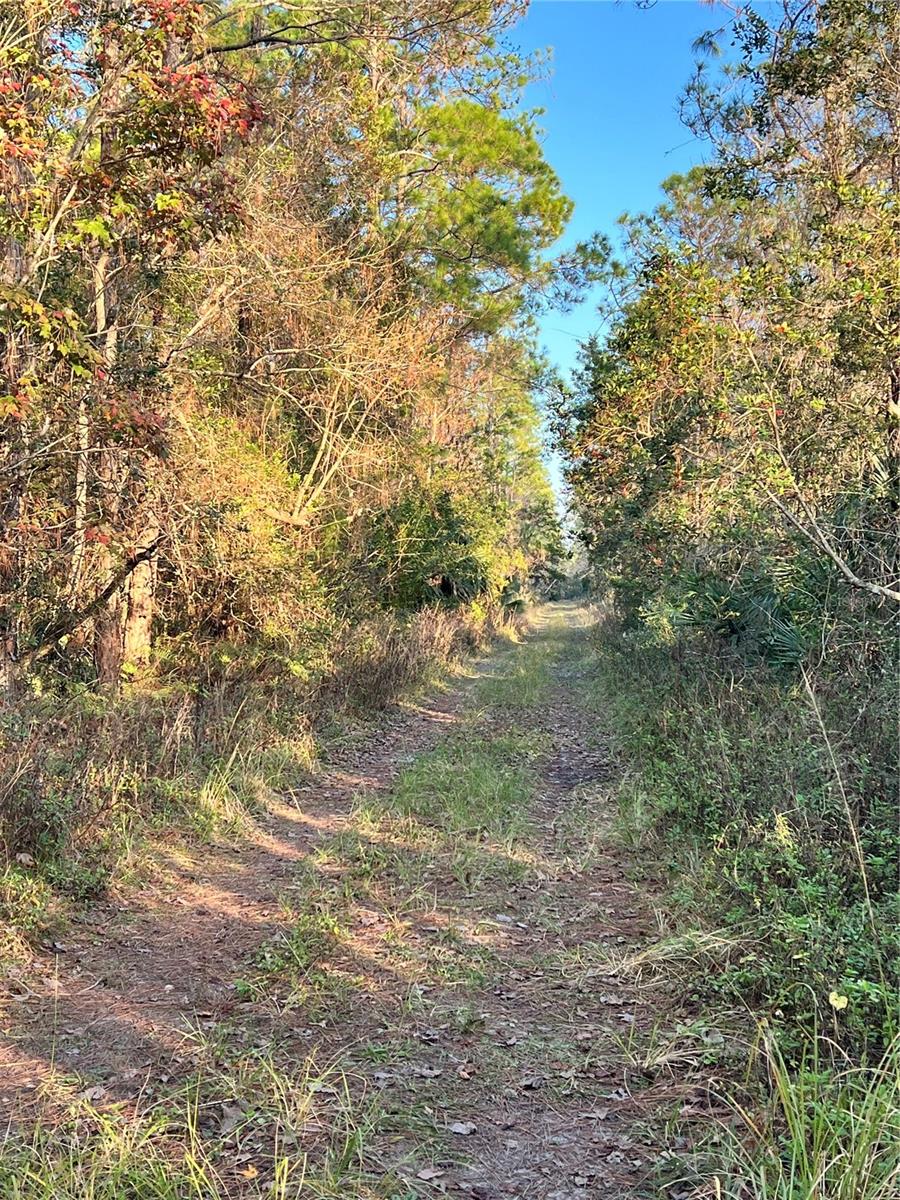 University Highlands/ Deland Crossings, FL