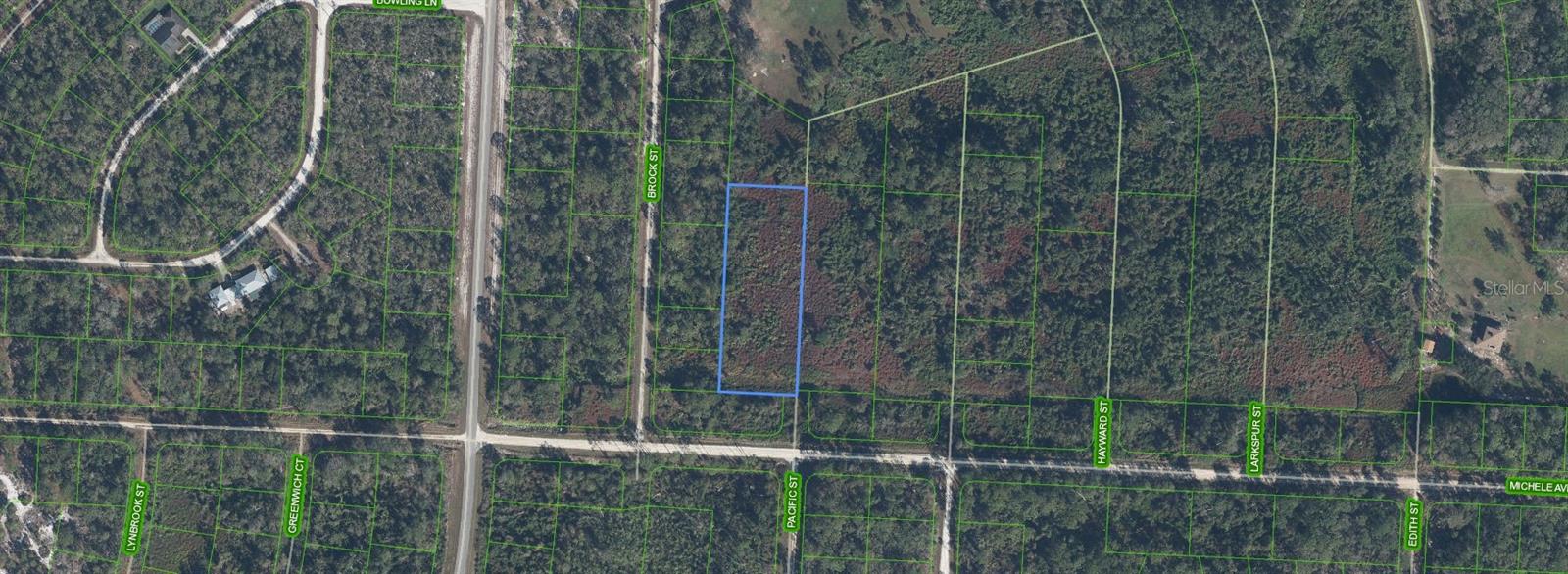 810 Pacific Street, FL