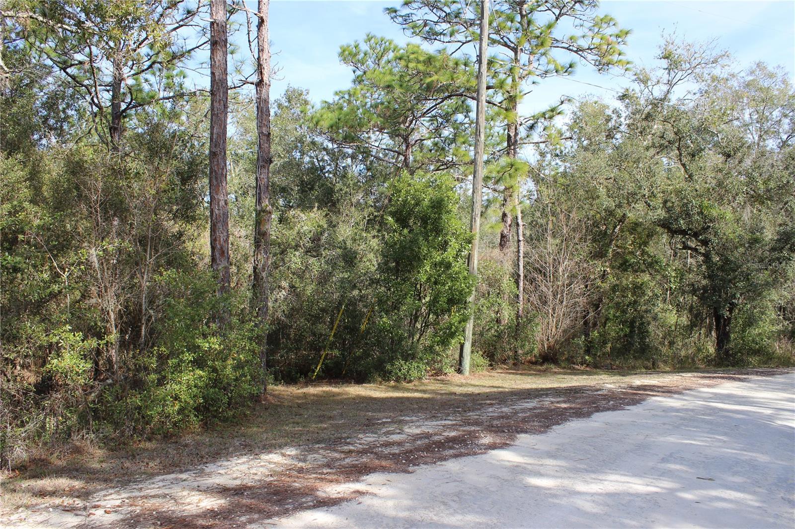 34273 Belt Drive, FL