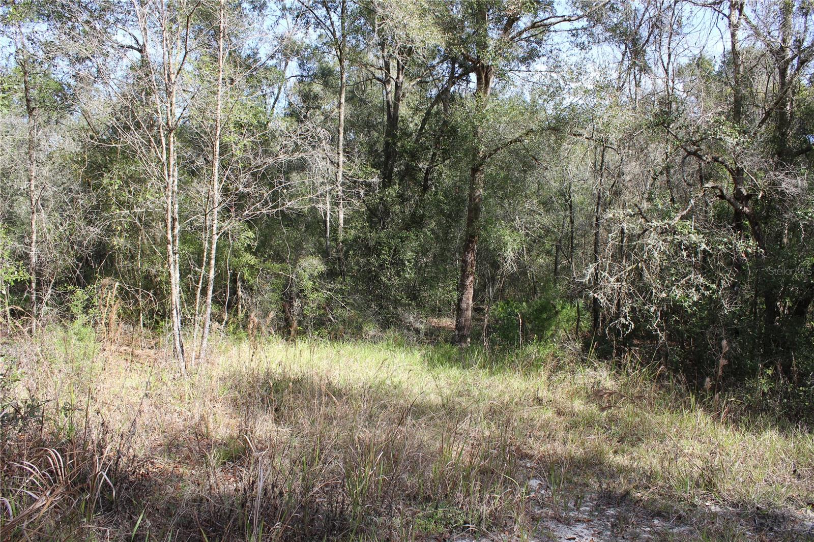 34273 Belt Drive, FL