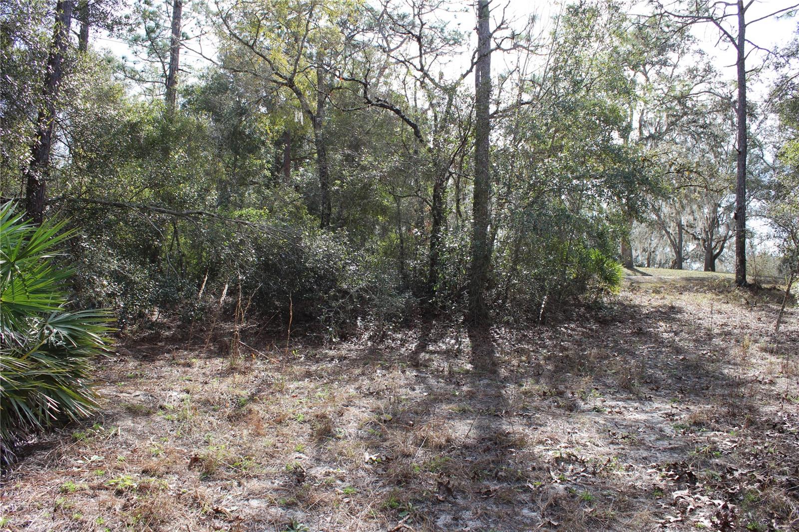 34273 Belt Drive, FL