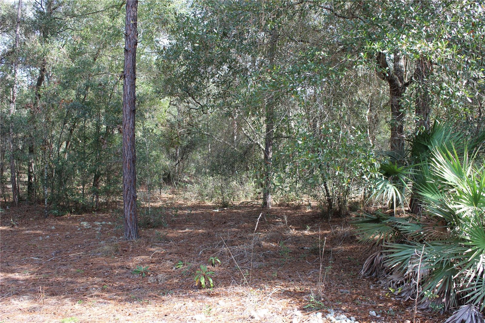 34273 Belt Drive, FL