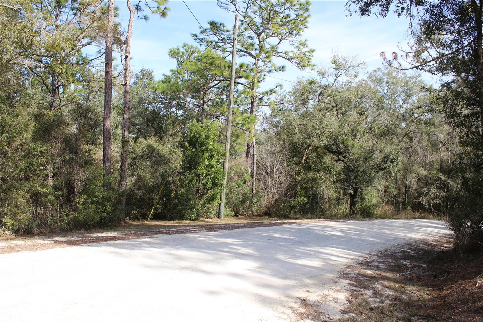 34273 Belt Drive, FL