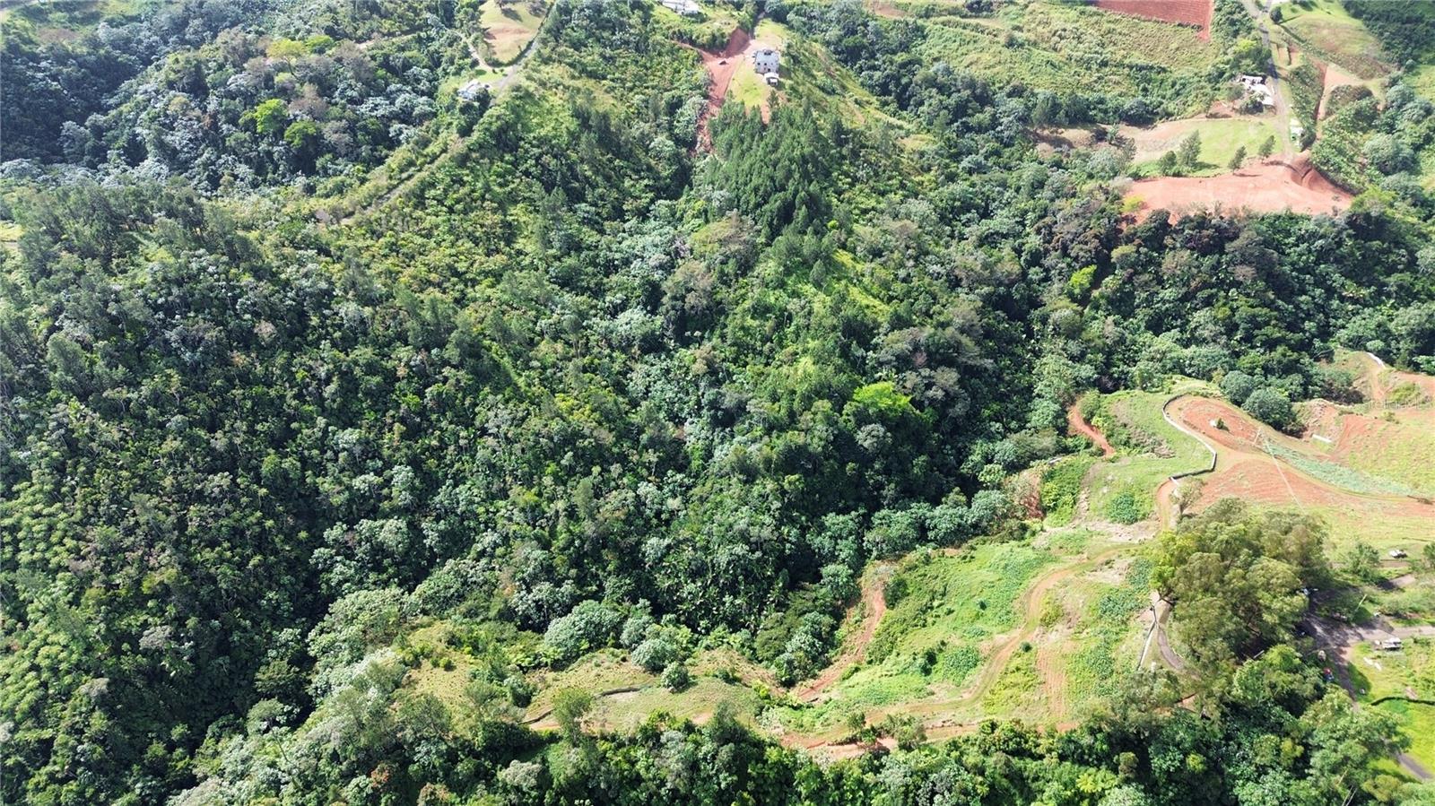Bo. Maná Carr. 802 Km 2.5, PR