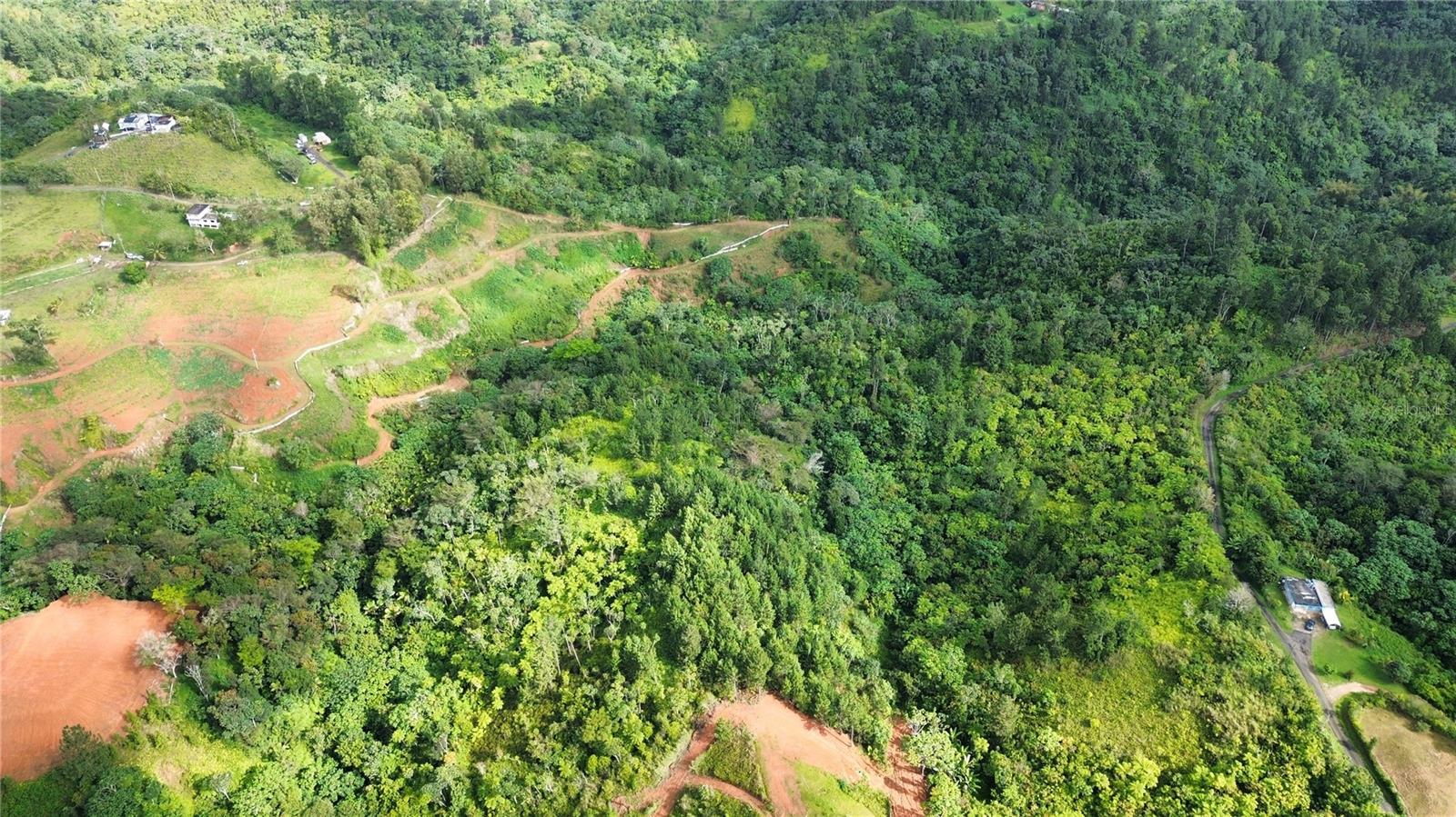 Bo. Maná Carr. 802 Km 2.5, PR