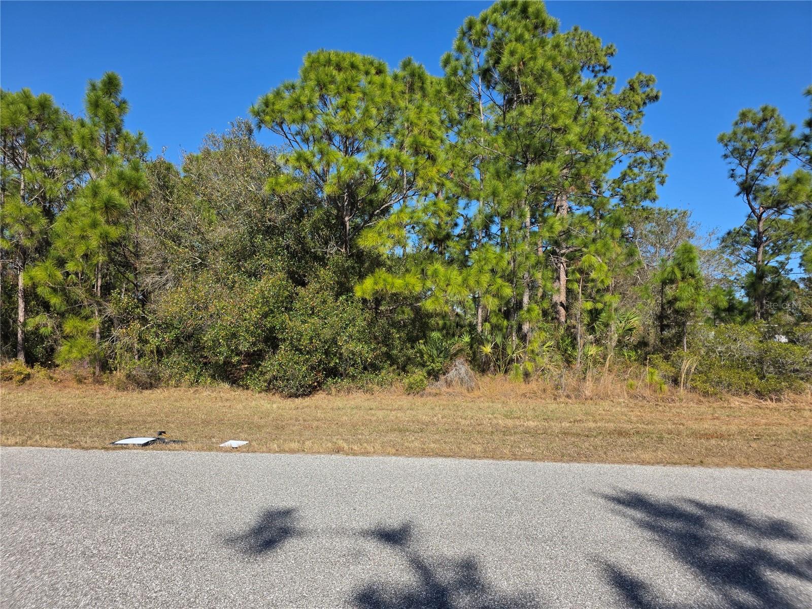 Hornbuckle Boulevard, FL