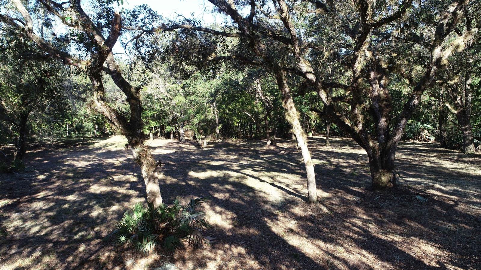 S County Road 13, FL
