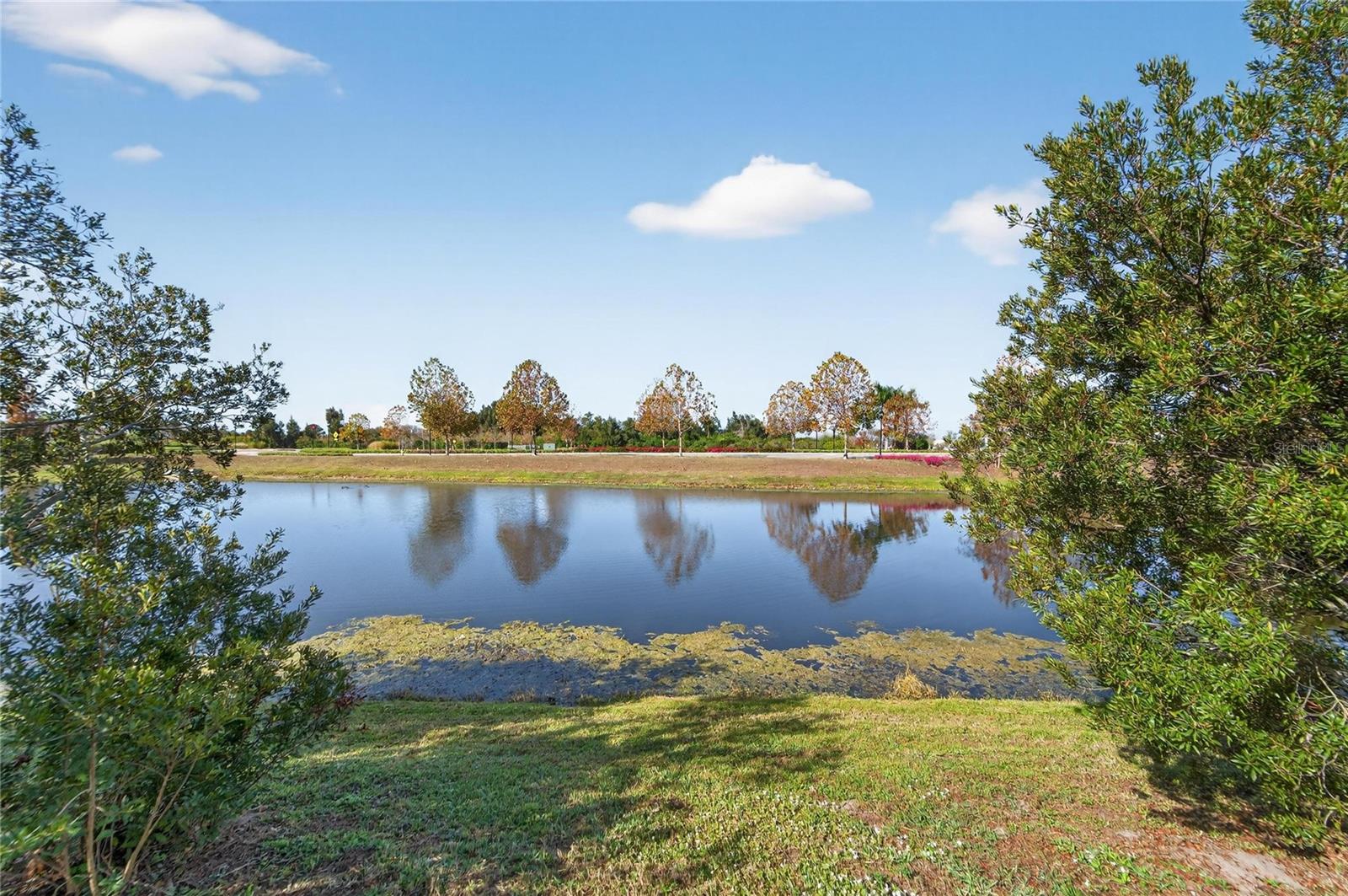 6230 Camino Drive, FL