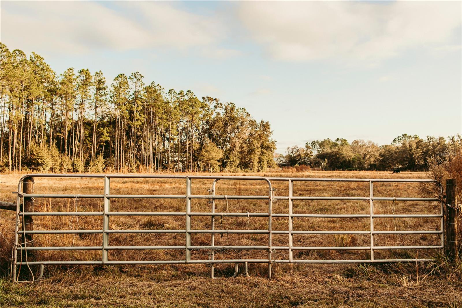 0 N Dormany Rd, FL