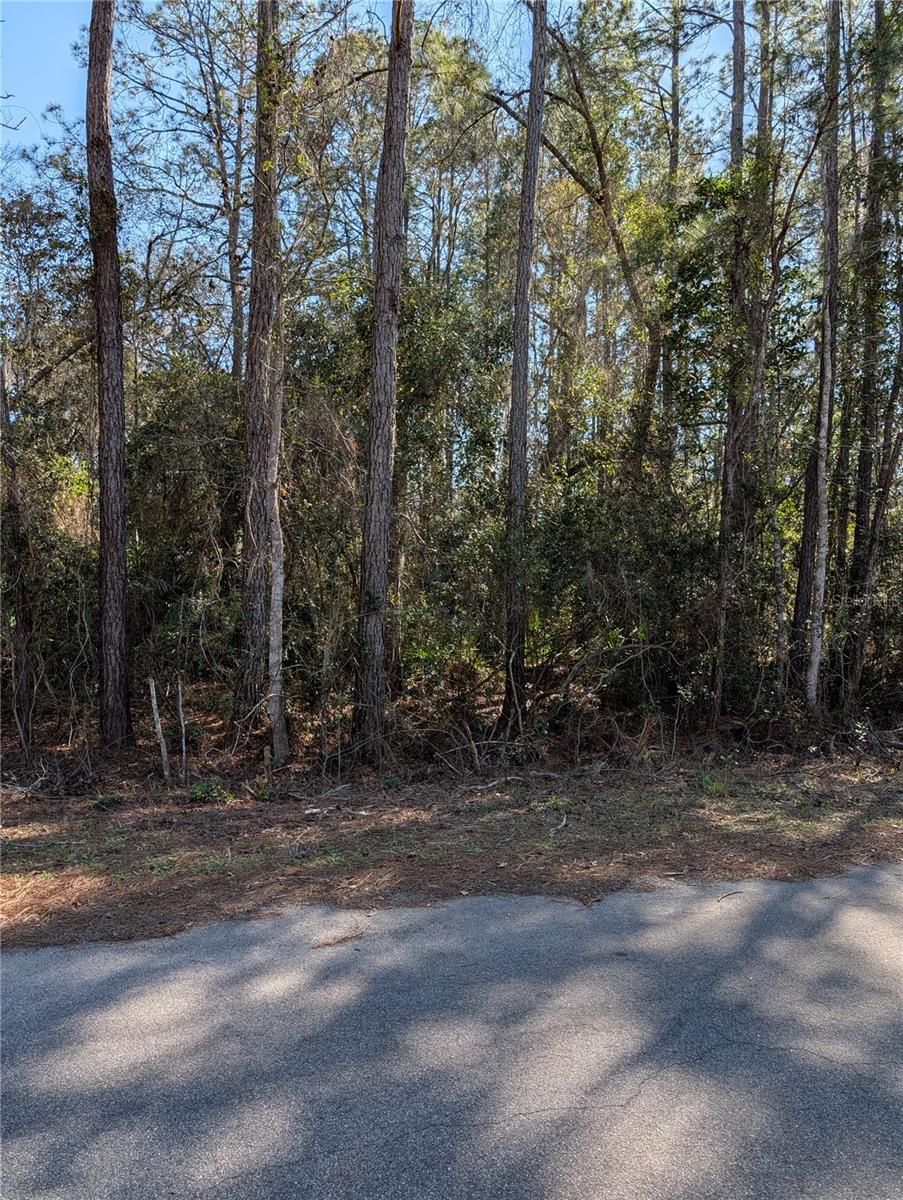 Sequoia Drive, FL