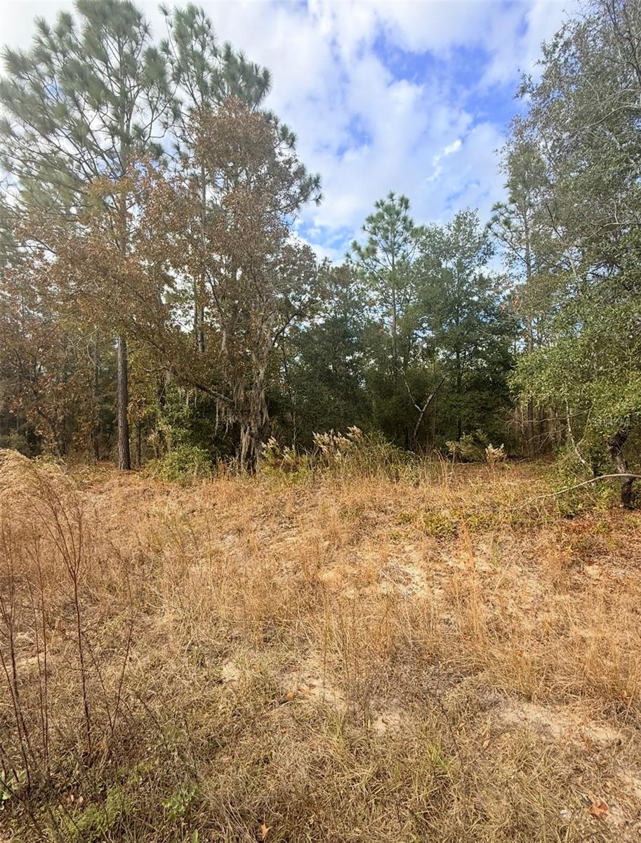 0 Unassigned, FL