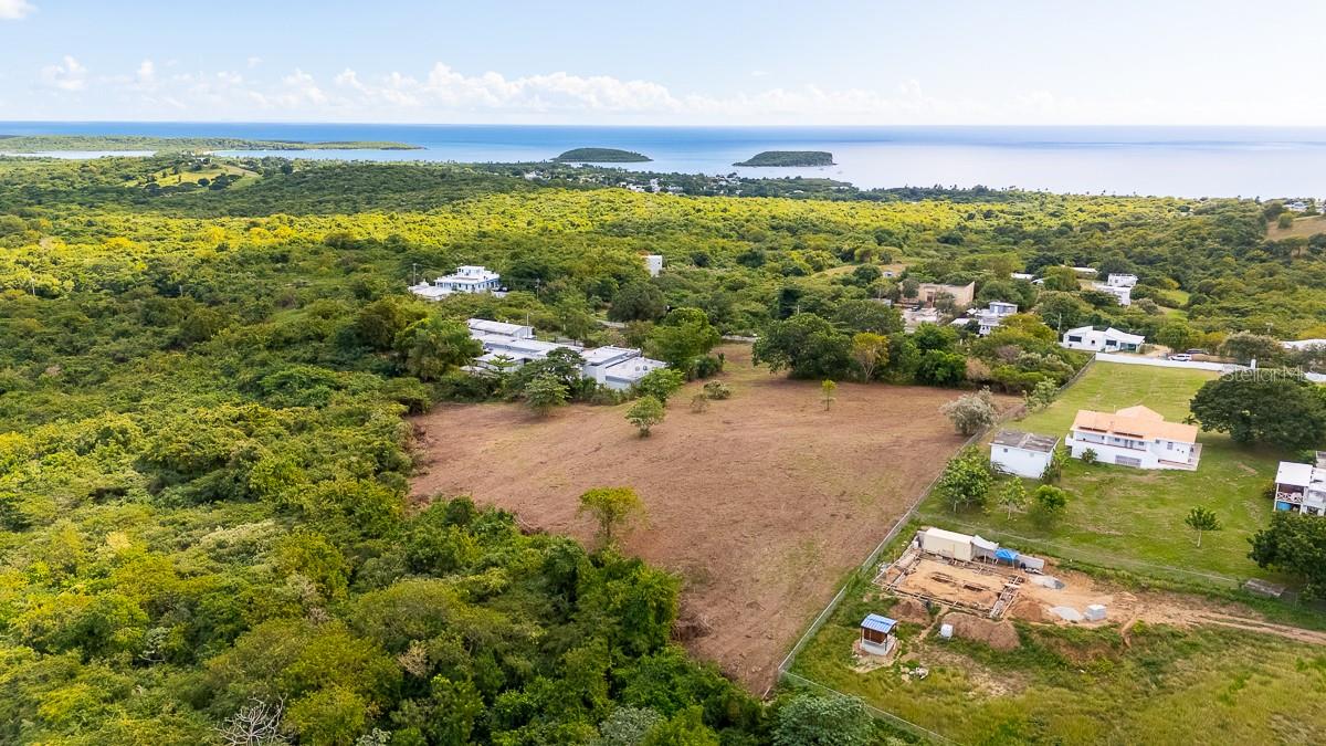 D8 Puerto Real Remanente, PR