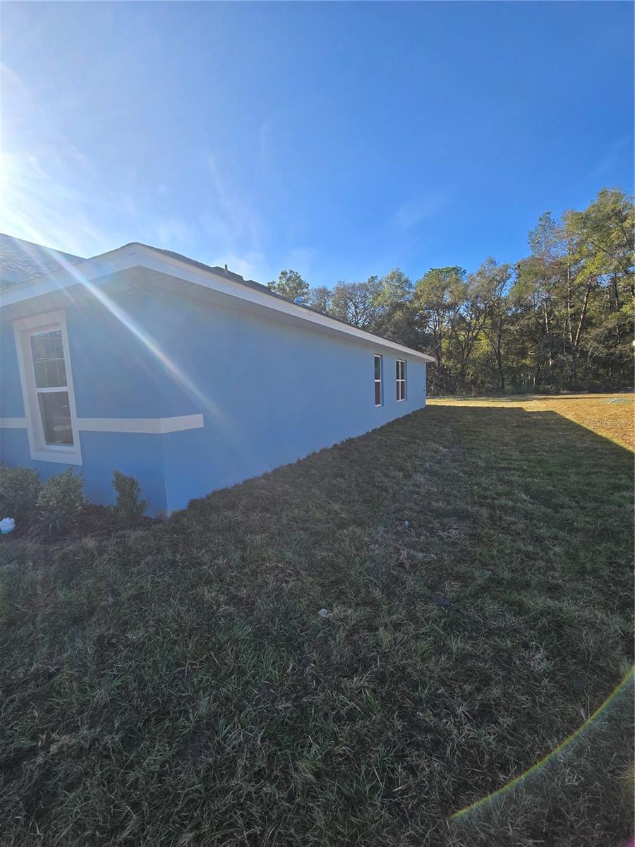2529 Clearwood Street, FL