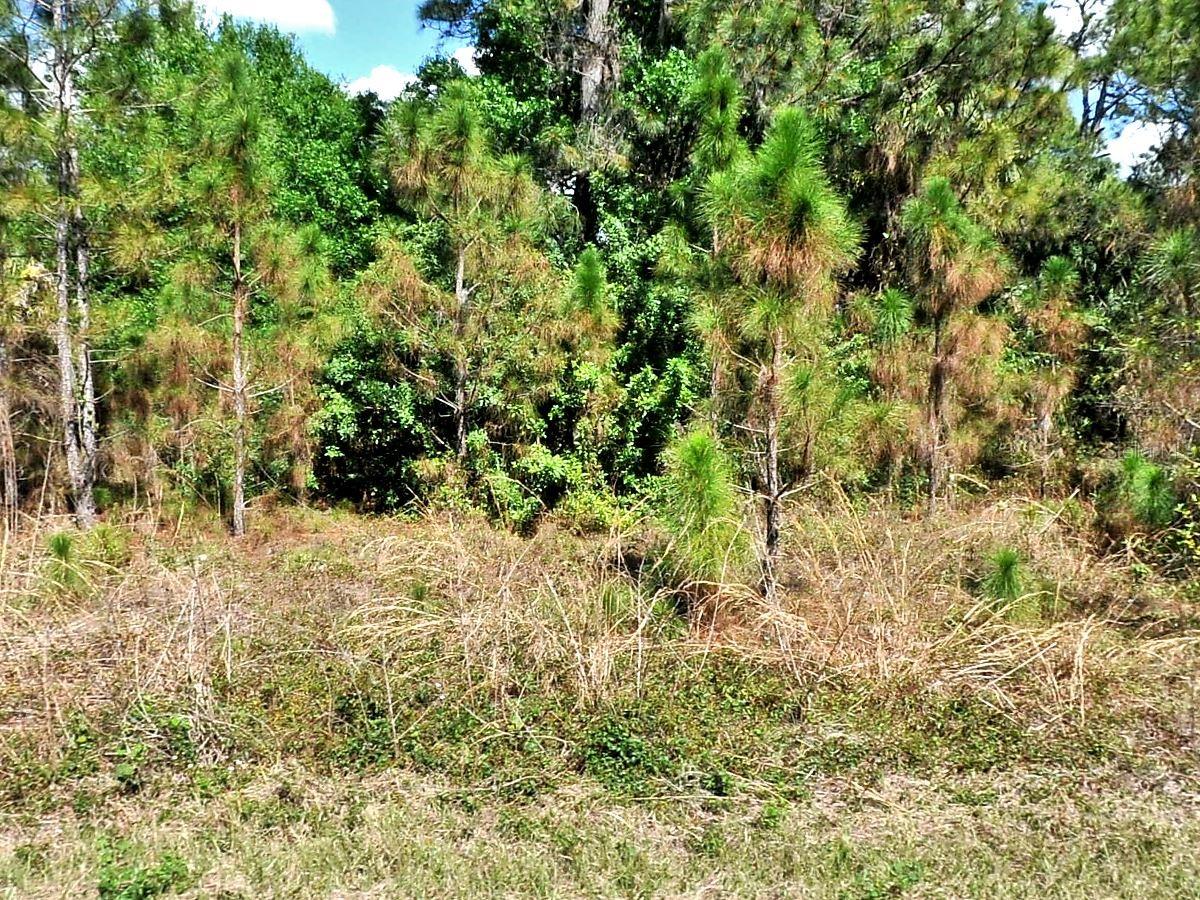 Bignay Road, FL