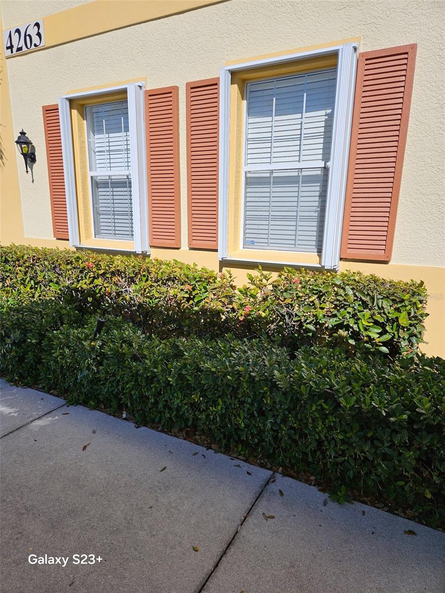 4263 Liron Avenue, FL