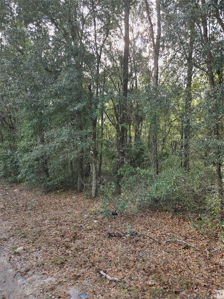 163rd Place, FL