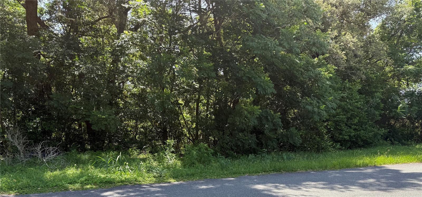Hutchinson Way, FL