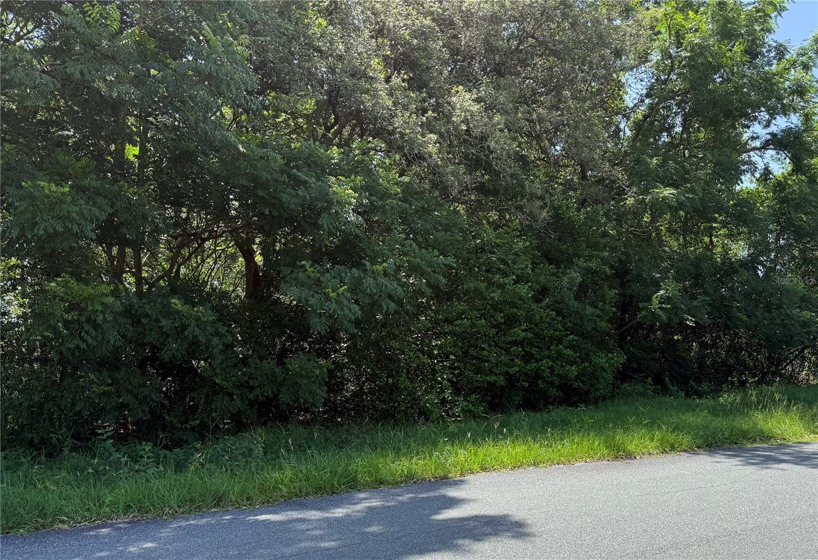 Hutchinson Way, FL