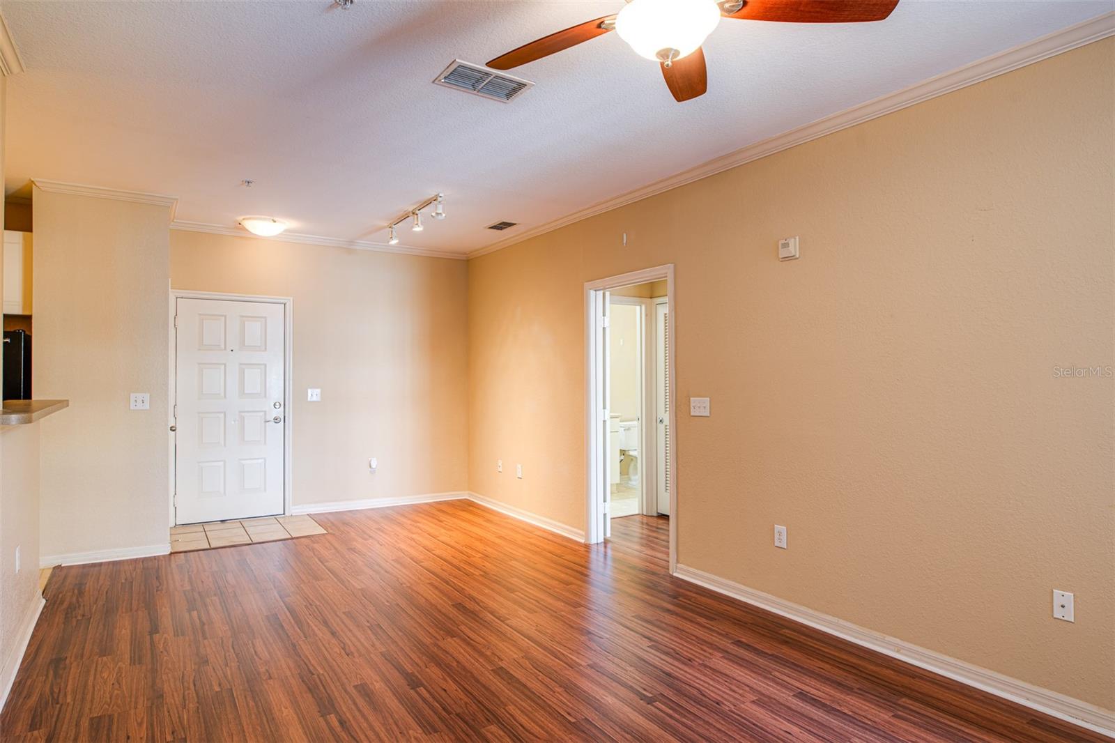 4221 Spruce Street, FL
