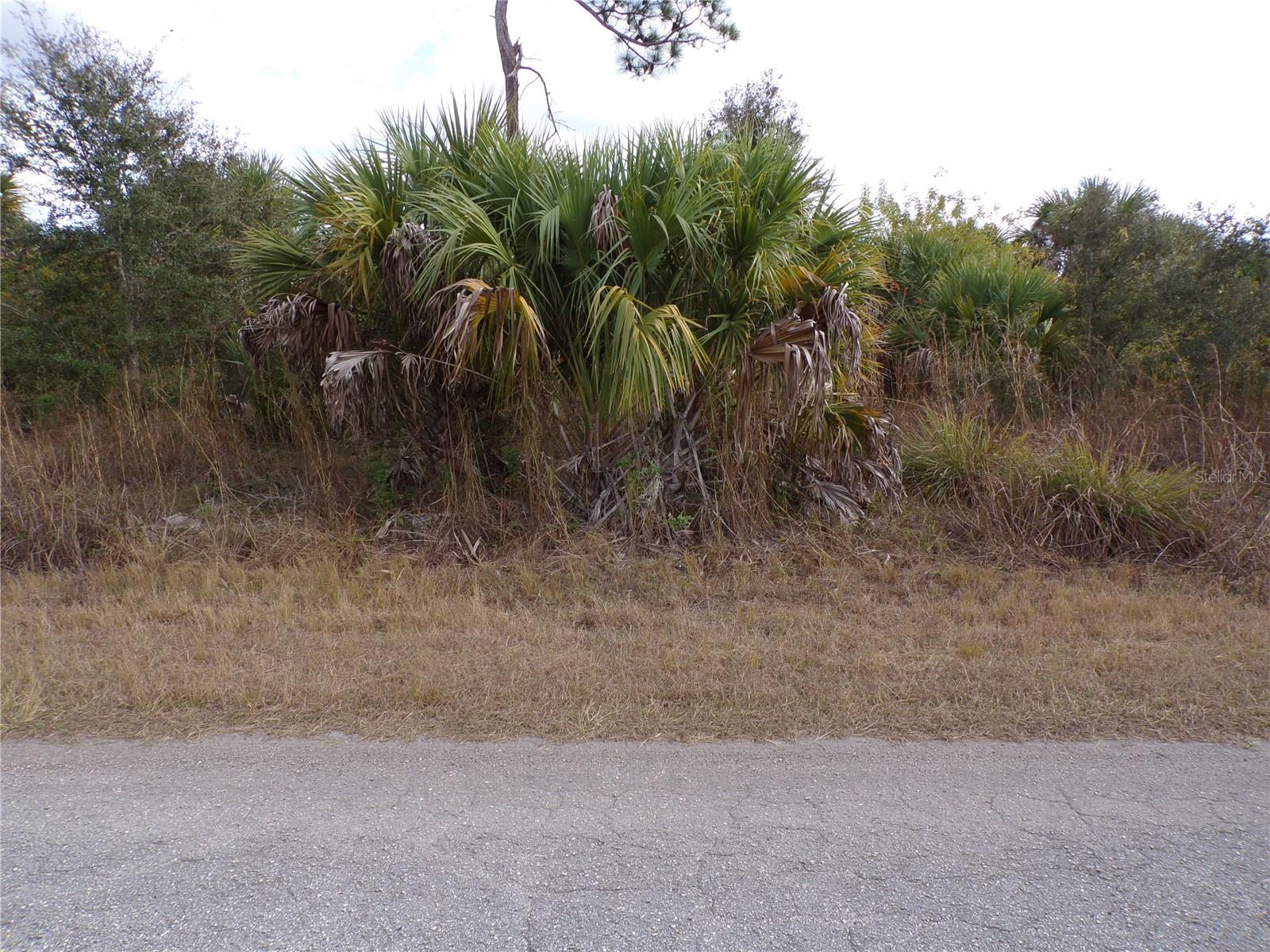 Silverleaf Road, FL
