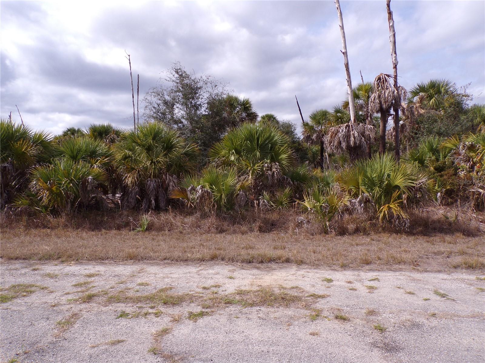 Copernicus Road, FL