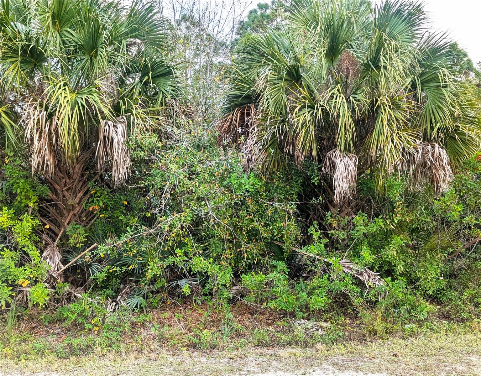 12885 86th Street, FL