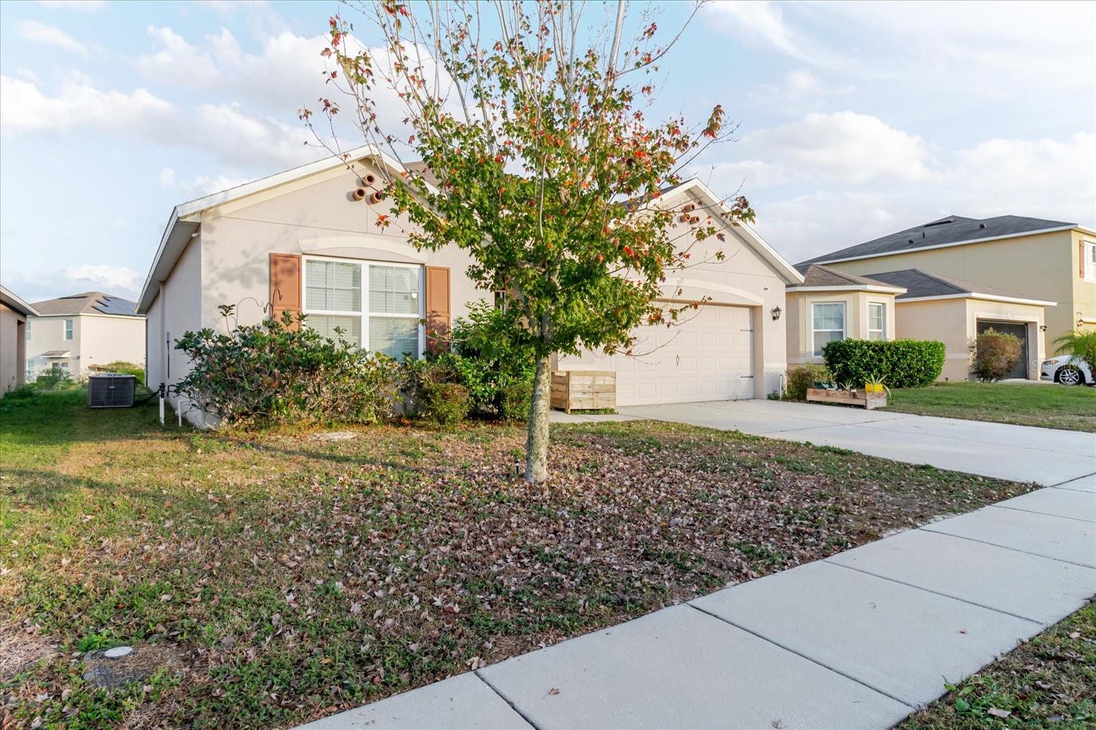 525 Squires Grove Drive, FL