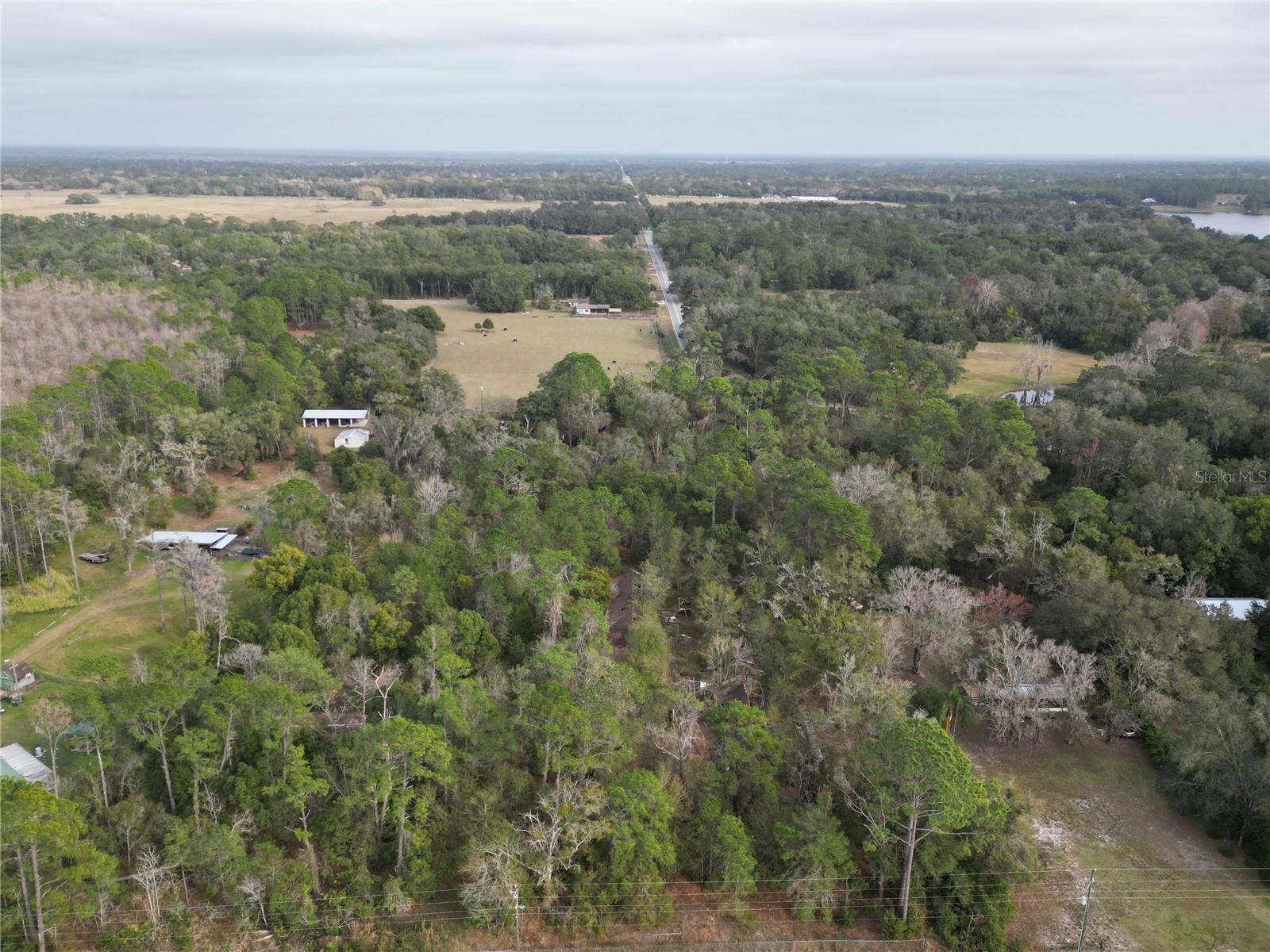 36242 County Road 439, FL