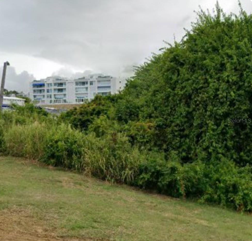 Lot 1 Calle Robles Barrio Las Cabezas, PR