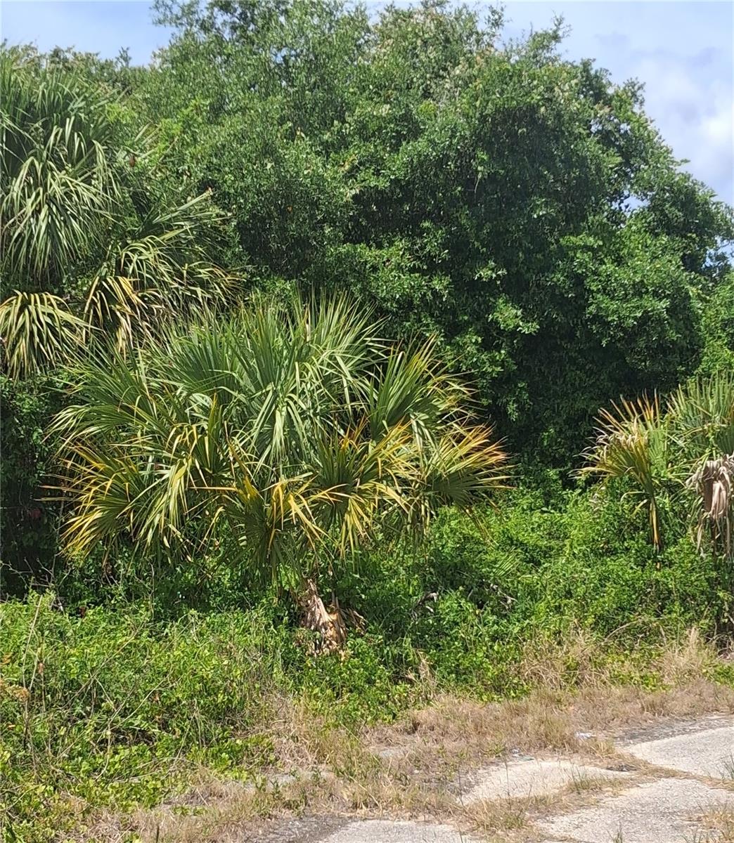 N Holloway Ave, FL