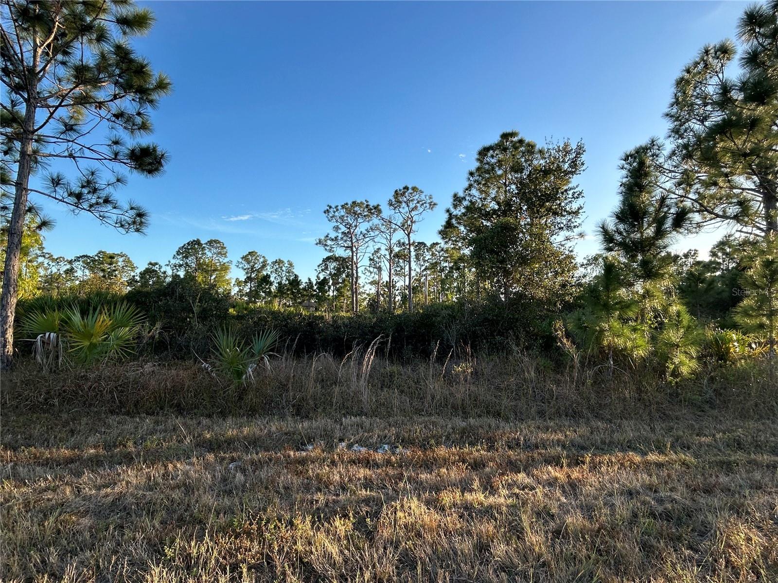 12157 Gisinger Blvd, FL