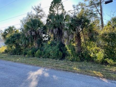 Bobolink Street, FL