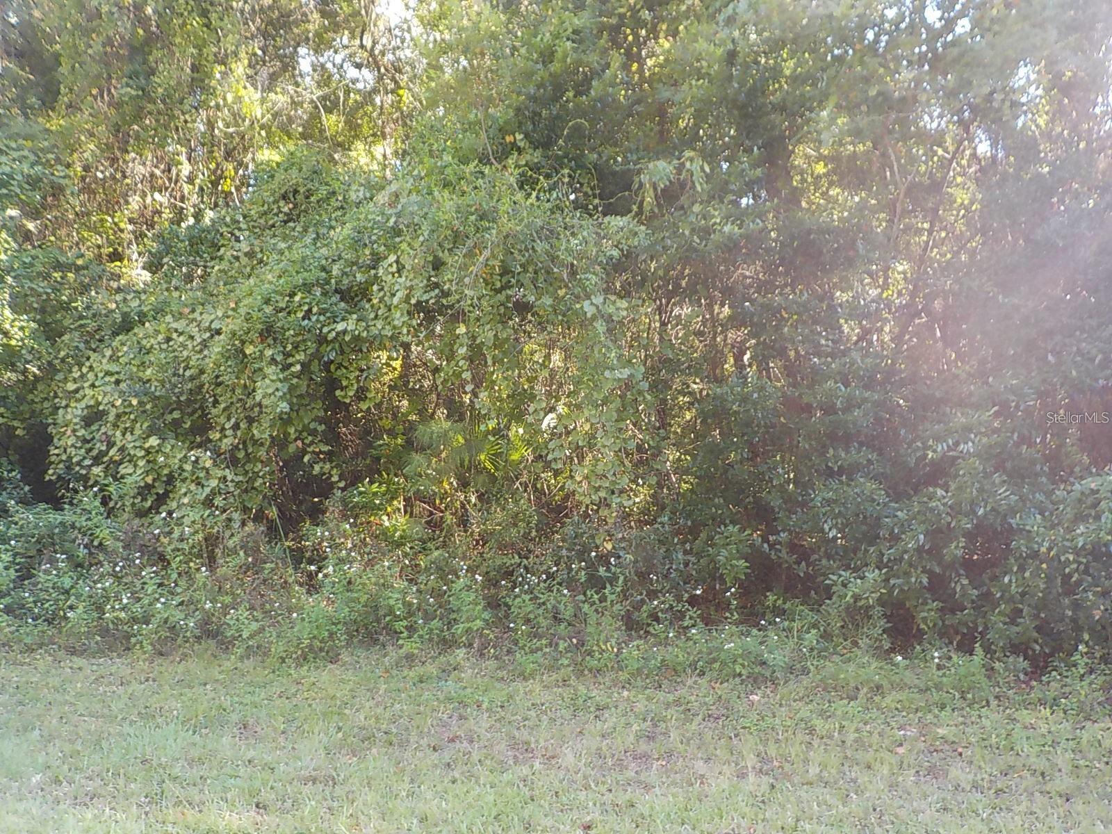 11641 N Kenlake Cir, FL