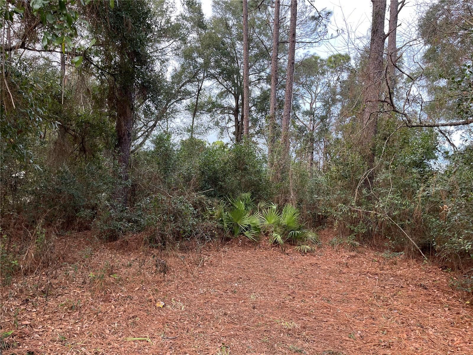 Nw 20th St, FL