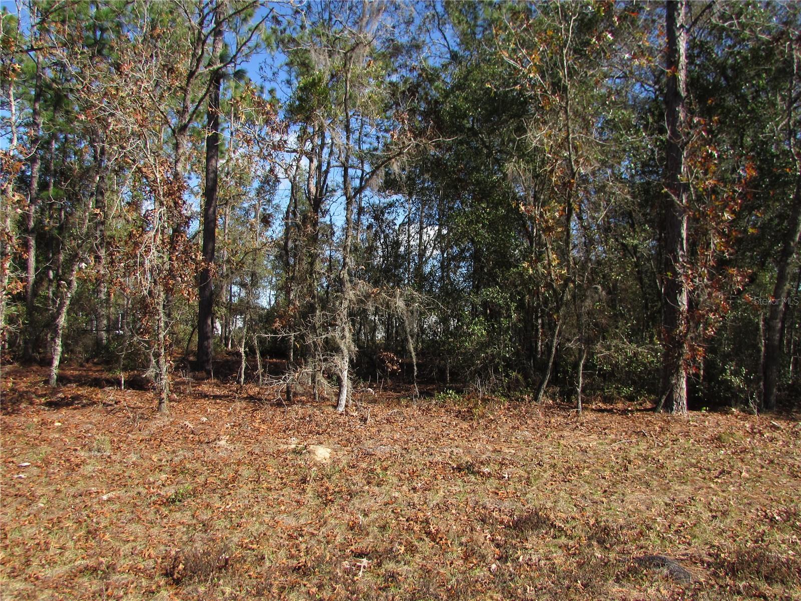 Lot 18 156 Street, FL