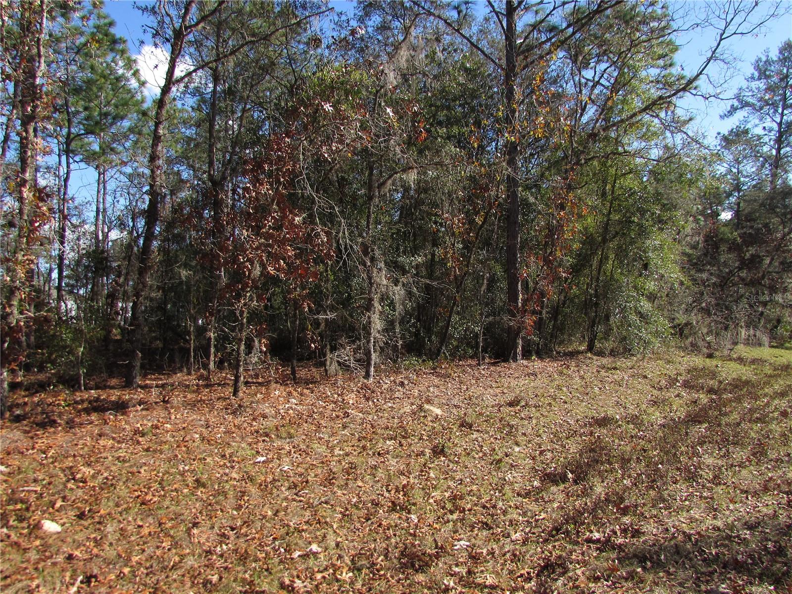 Lot 18 156 Street, FL