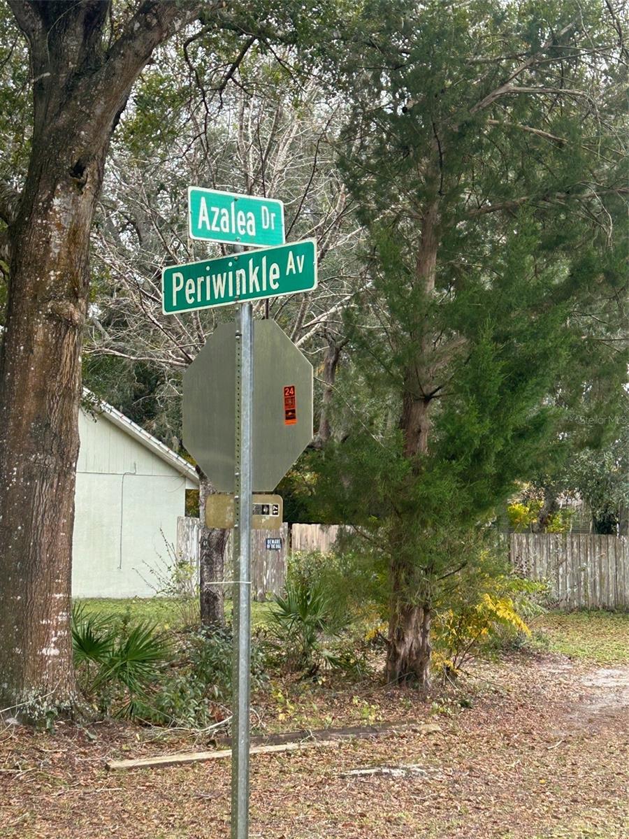 Periwinkle Drive, FL