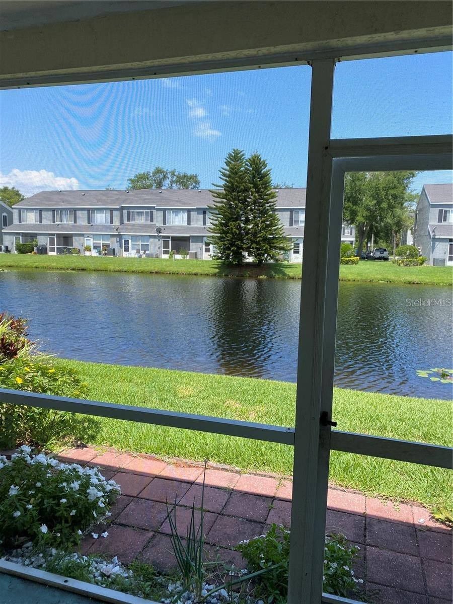 244 Countryside Key Boulevard, FL