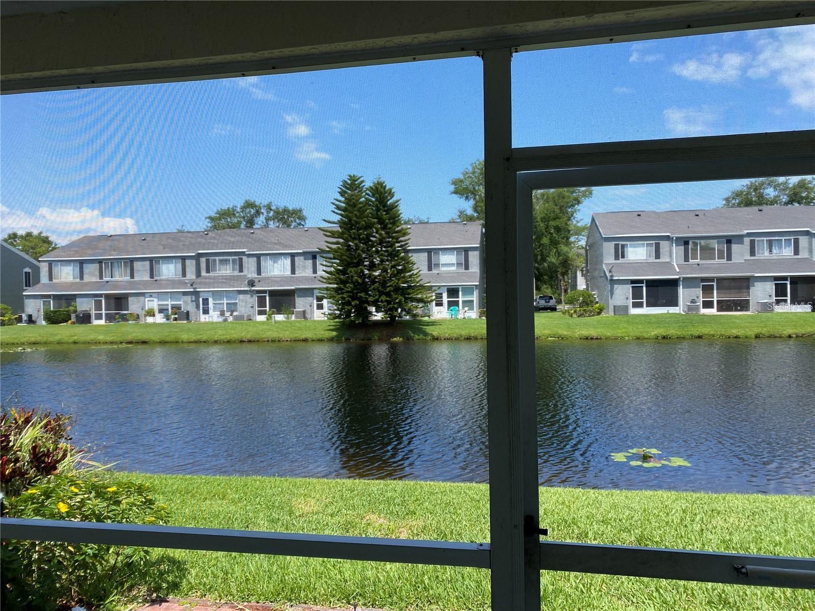 244 Countryside Key Boulevard, FL