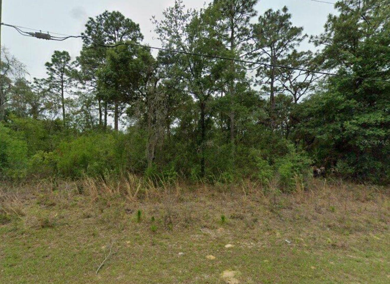 2338 W Riley Dr, FL