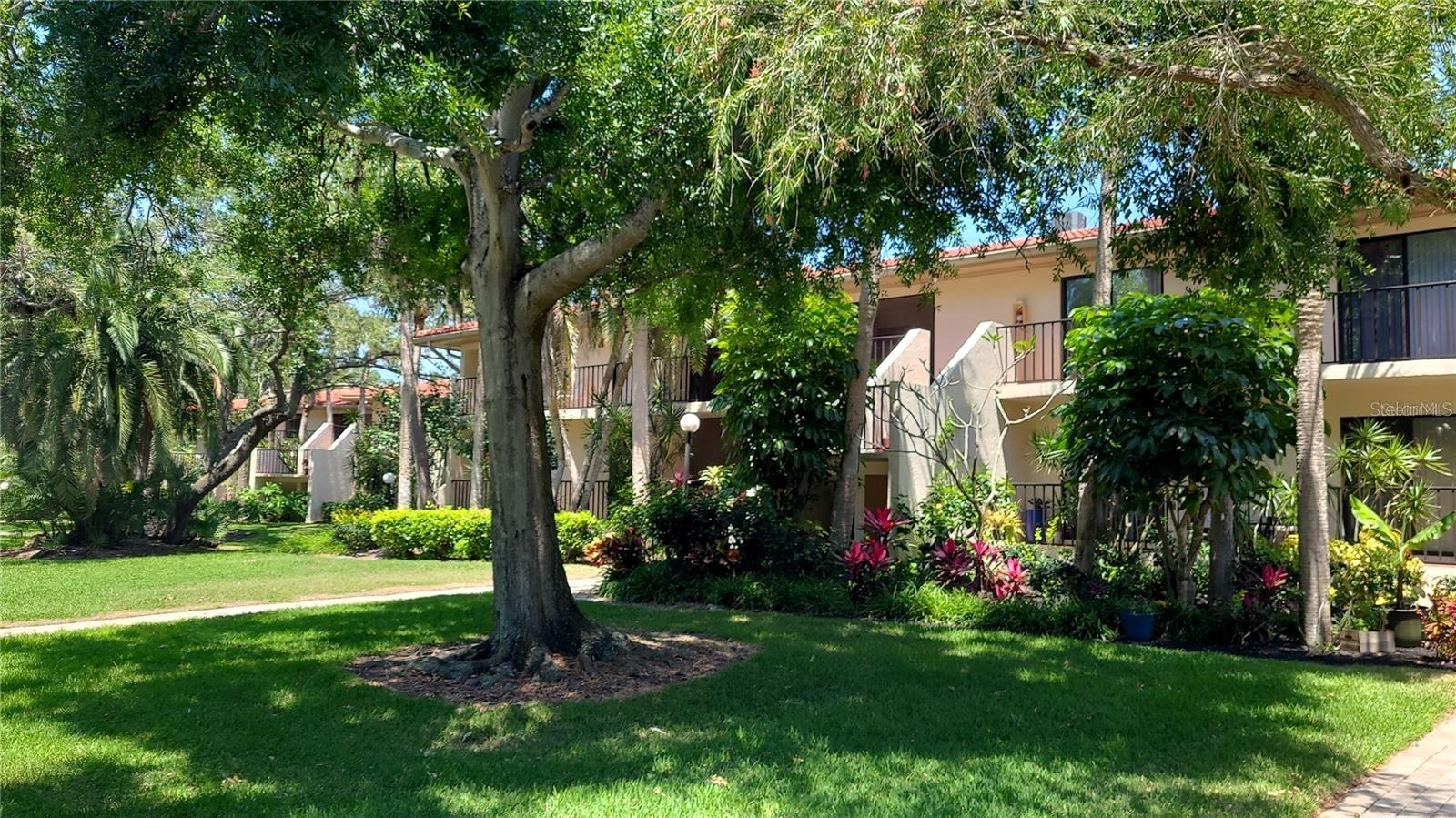 6462 Wild Oak Bay Boulevard, FL