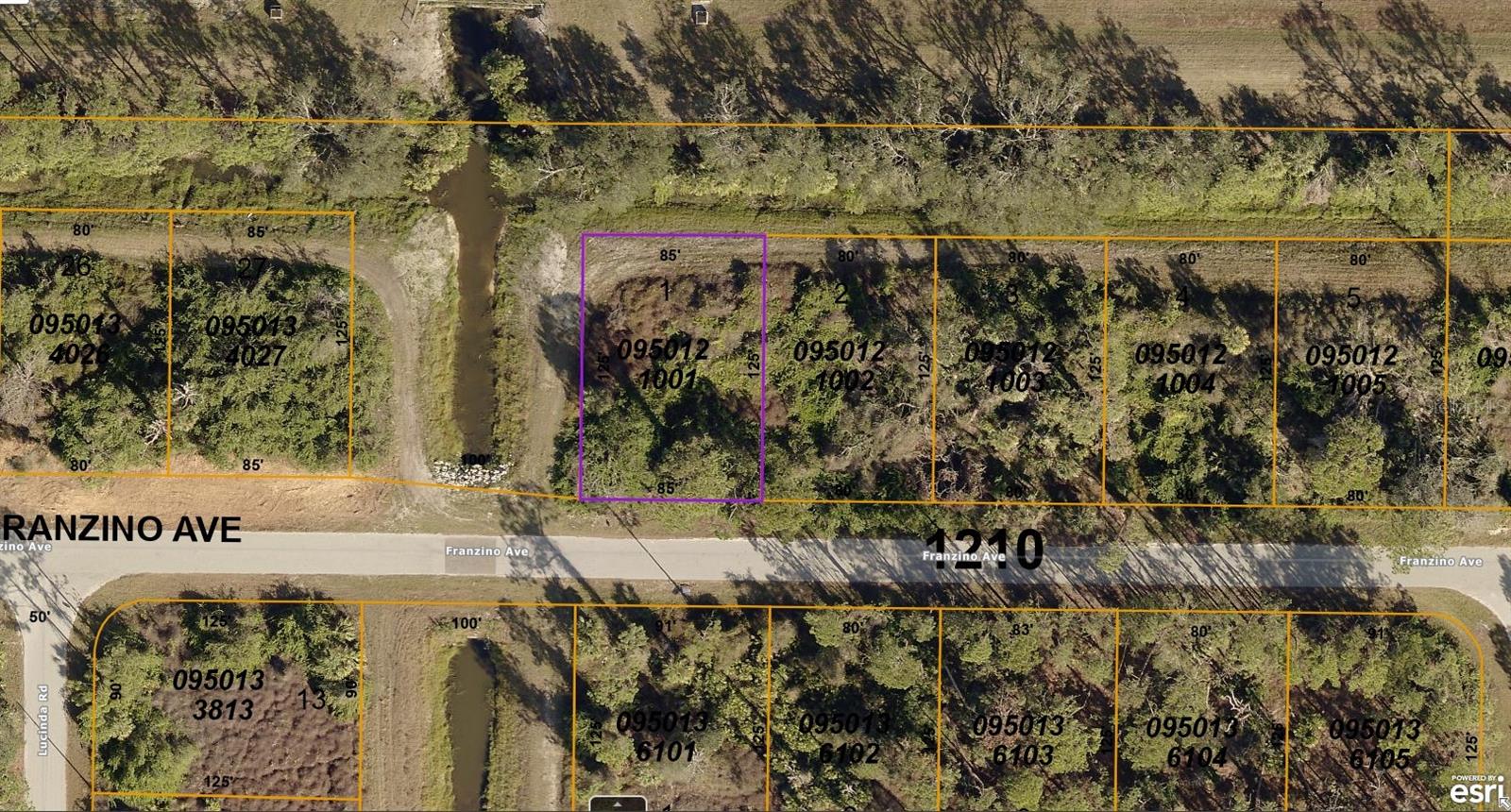 0950121001 Franzino Avenue, FL