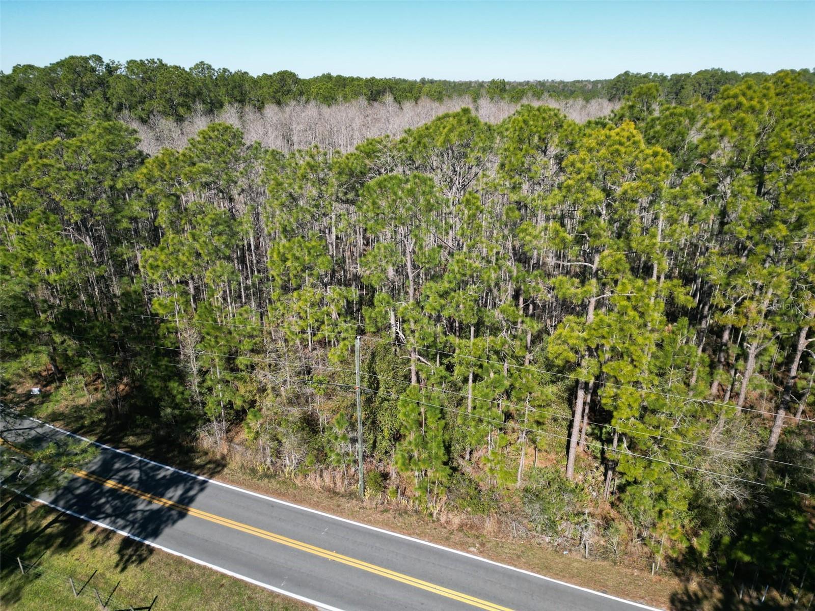 Green Pond Rd, FL