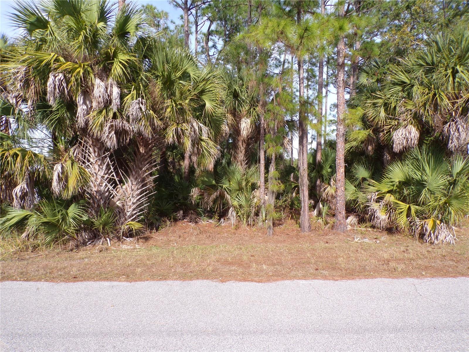 Evangelina Lane, FL