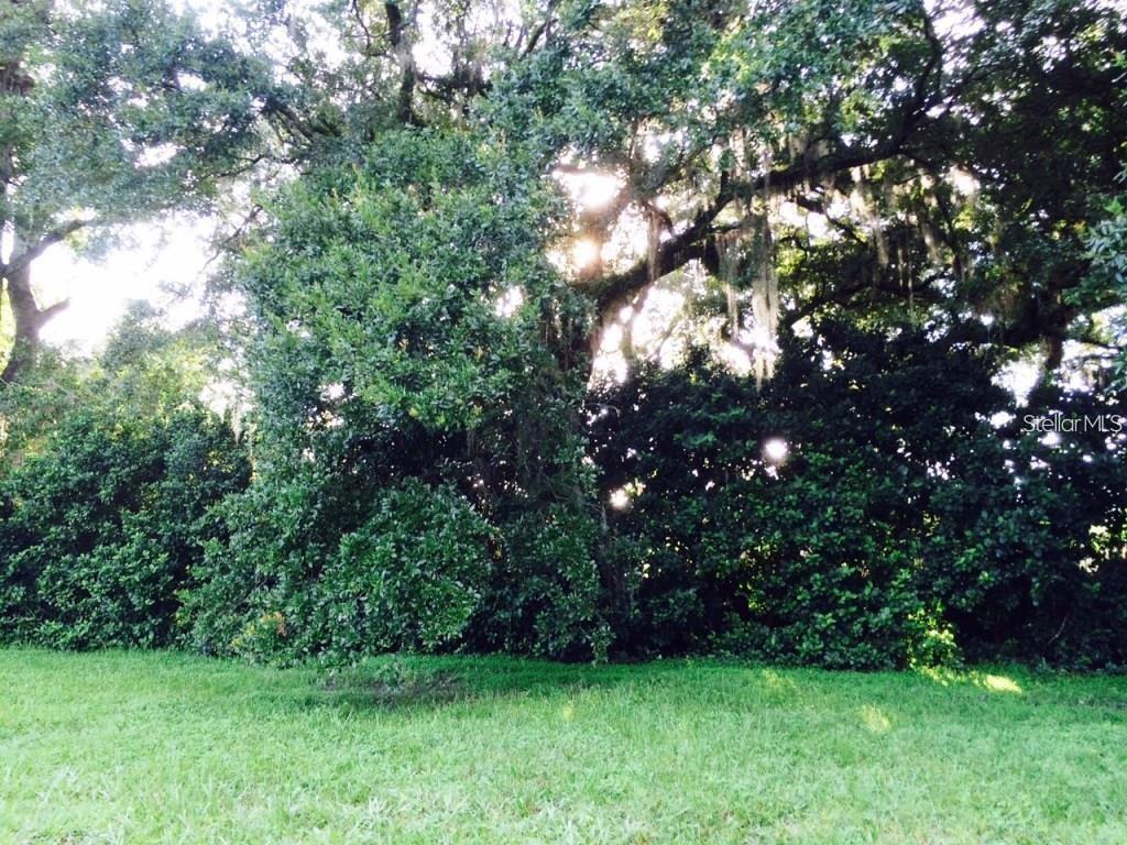 111 Frederick Street, FL